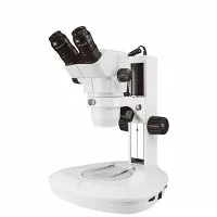 Microscopio stereoscopico binoculare
