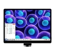 Schermo HD da 10,5 pollici con sistema Android